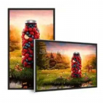 Настенный монитор Aevision AE-LED55A-BGD
