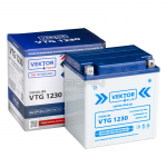 Аккумулятор Vektor Energy VEKTOR VTG 1230